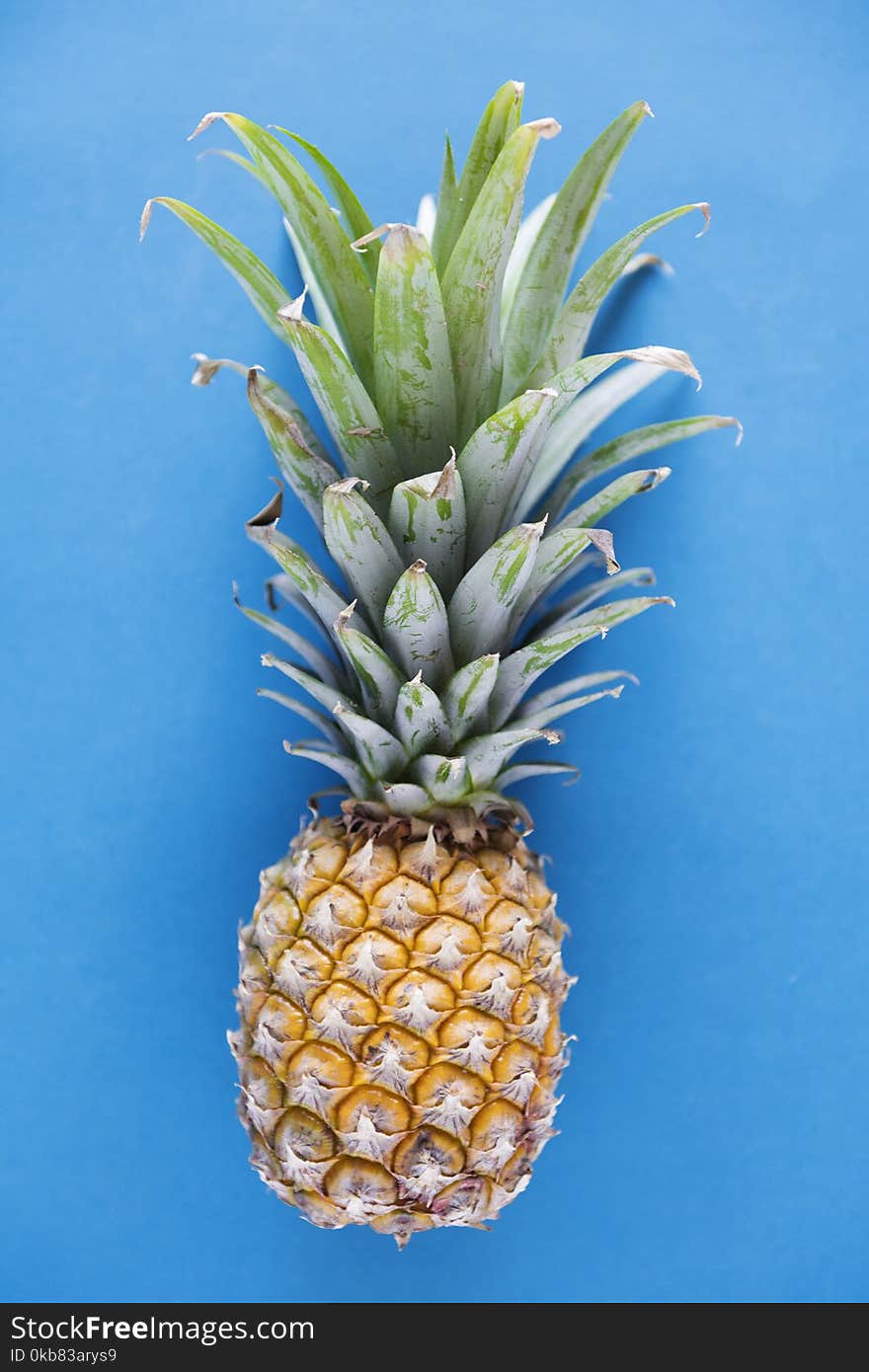 Photography of Pineapple on Blue Background