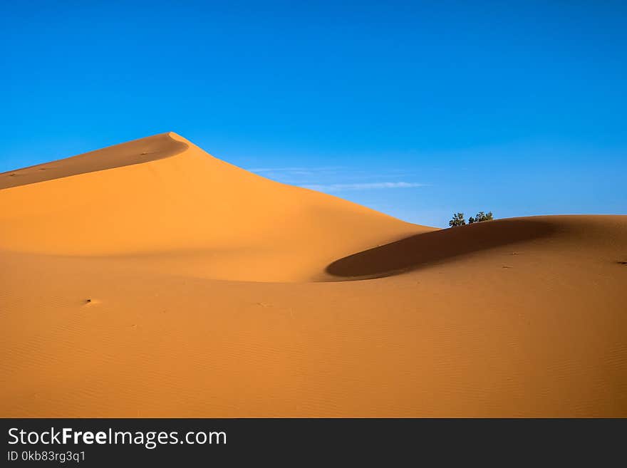 Desert Field