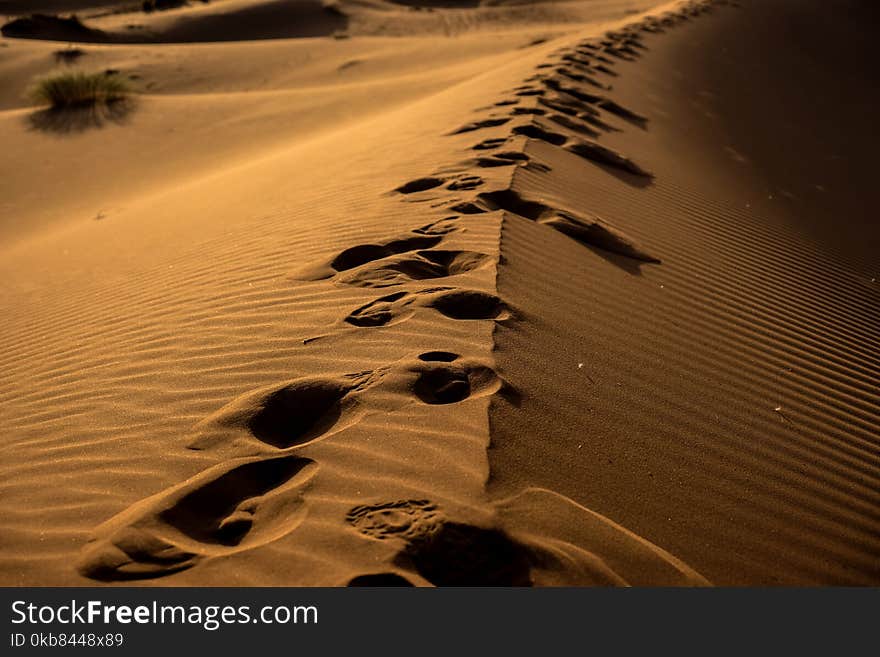 Sand Dune With Foot Prints