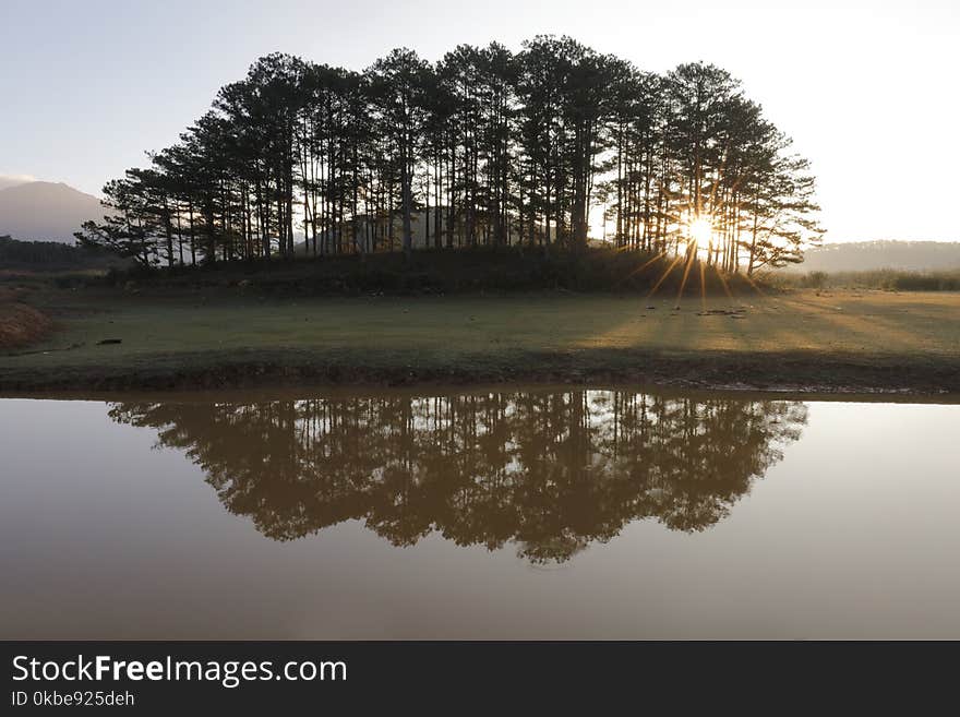 Pine island in sunlight in Dalat. Vietnam