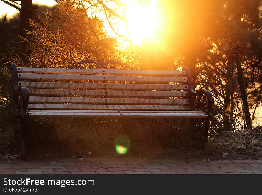 Brown Metal-framed Bench Surrounded by Trees