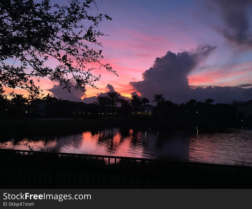 Silhouette Photo of Tree Near Body of Water