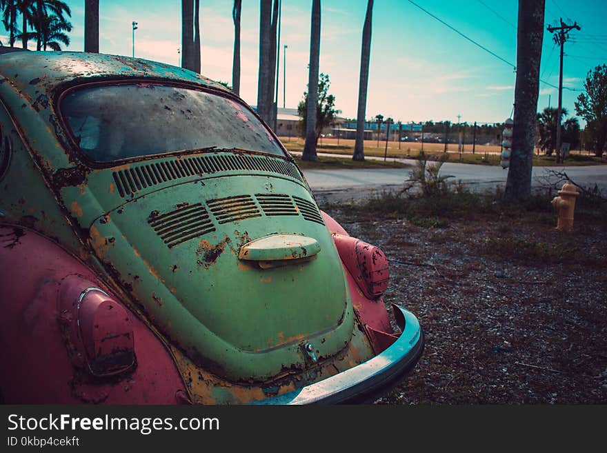 Photography of Green and Pink Volkswagen Beetle Parked Beside The Road