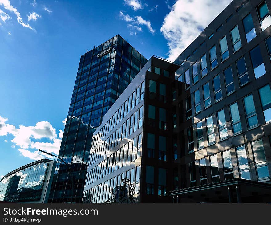 Low-angle Photography of Curtain Wall Building Taken Under White Clouds and Blue Sky