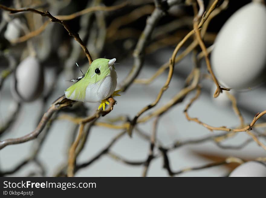 Green and White Bird Toy Perched on Tree Branch at Daytime