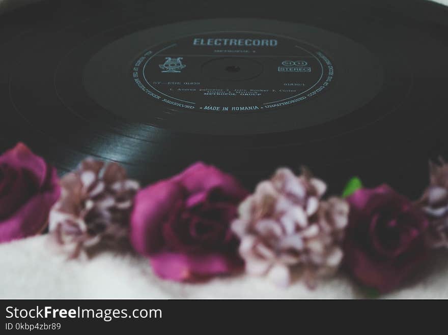 Floral Electrocord Vinyl Record Decor