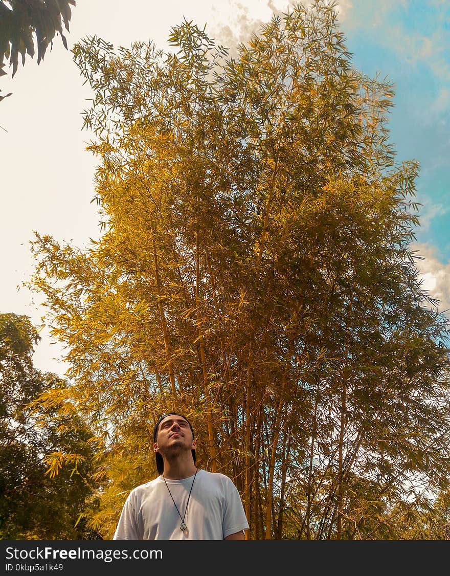 Men&#x27;s White T-shirt Near Trees