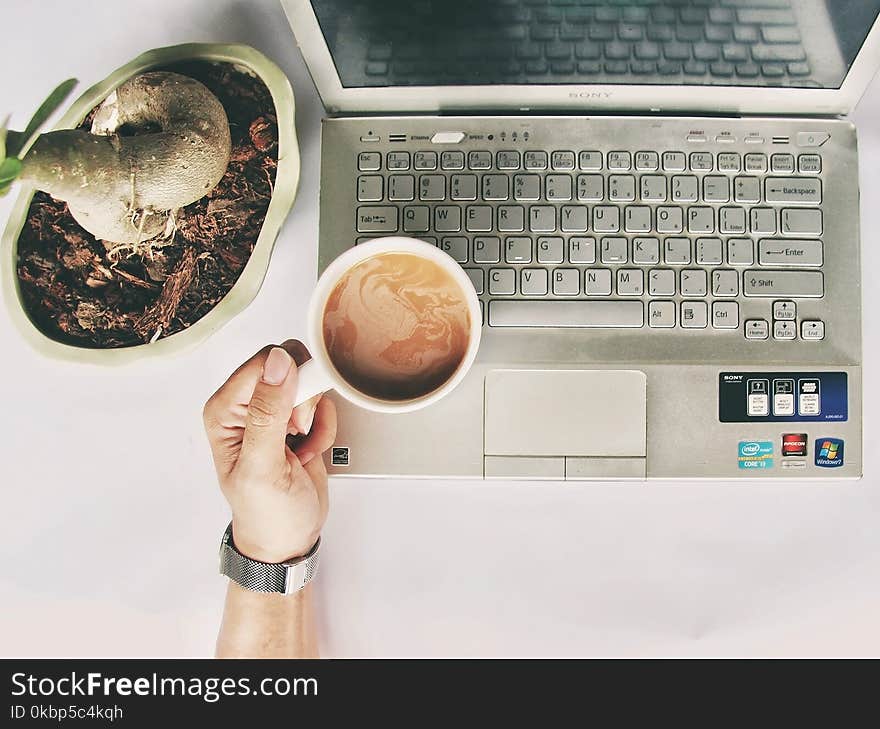 Person Holding White Mug on Gray Laptop Computer