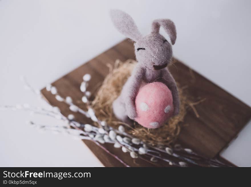 Close-up Photo of Bunny Plush Toy