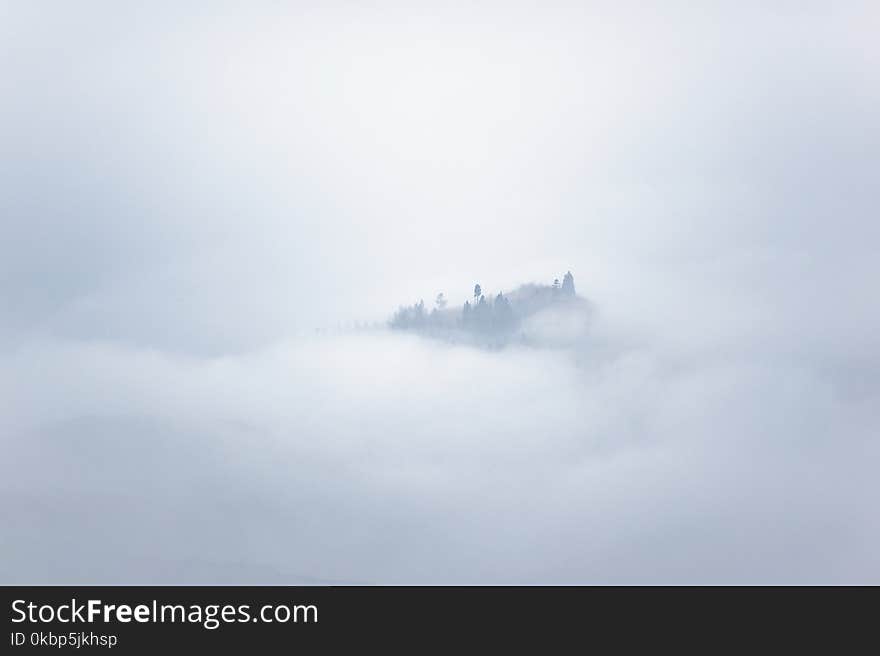 Foggy Mountain