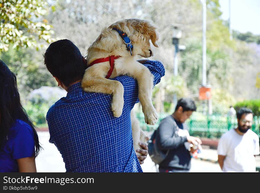 Man In Blue Long-sleeved Shirt Carrying Dog