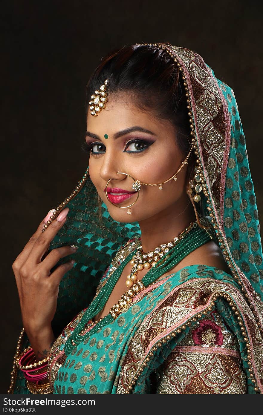 Woman Wearing Green, Brown, and Pink Sari Dress Portrait Photograph