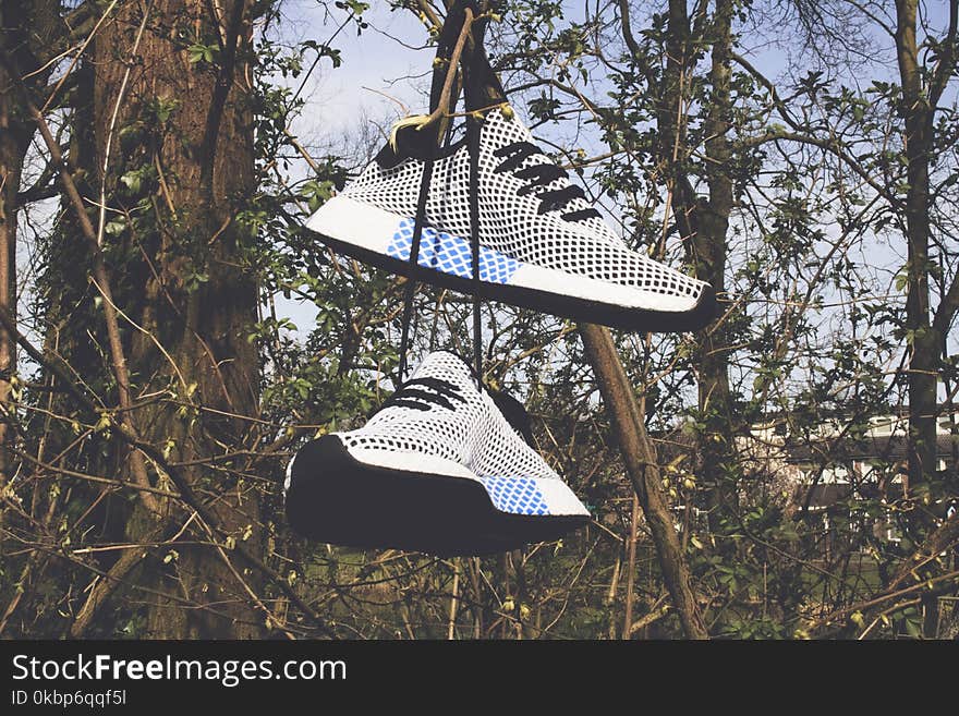 Pair of White Low-top Shoes Hanging on Tree