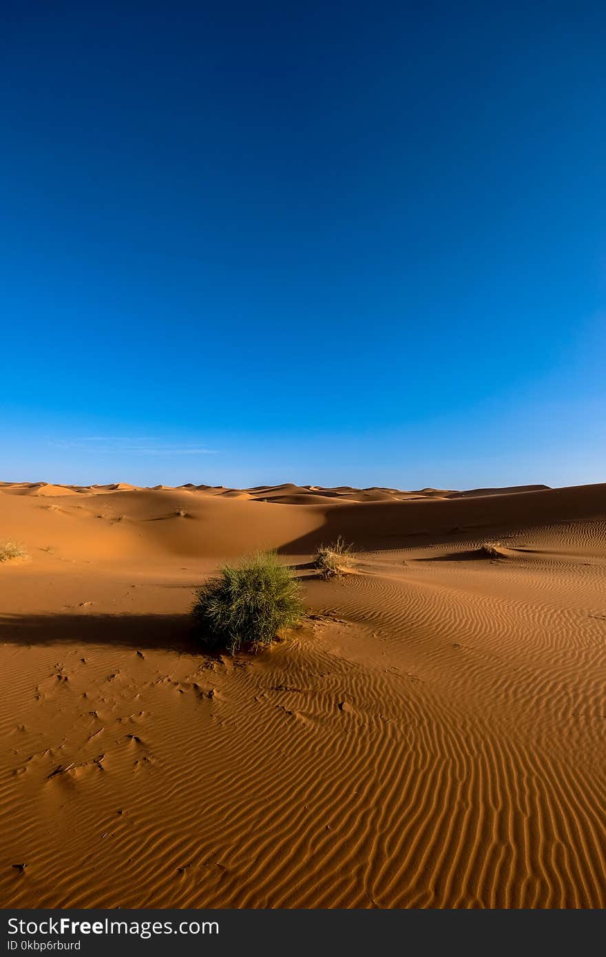 Photography of Sand Dunes Under Blue Sky