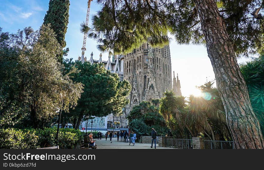 Group of People Walking in Front of Sagrada Familia Cathedral