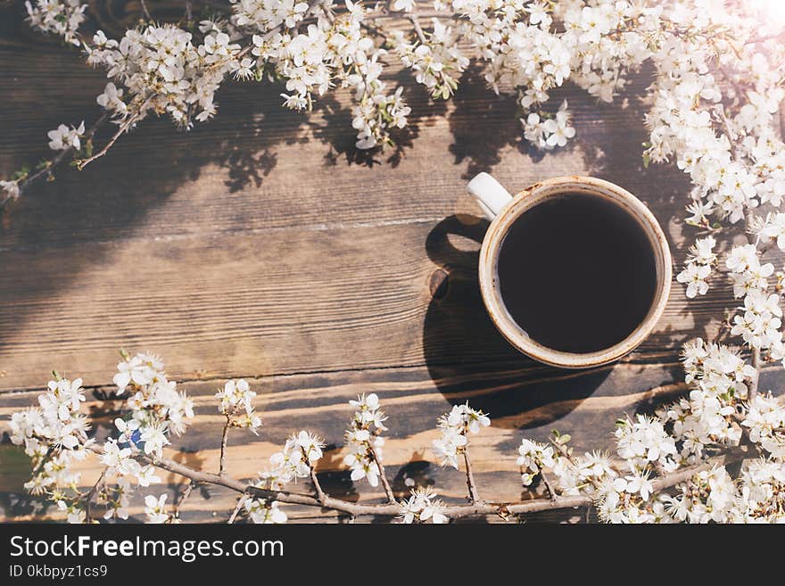 Cop of coffee in frame made of blossoning tree branches on wooden background. top view, flat lay