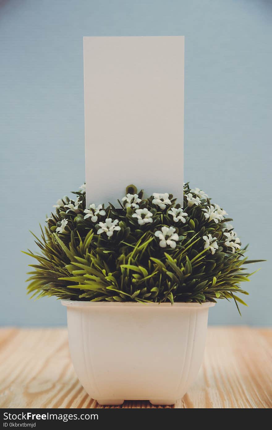 Blank business cards and little decorative tree in white vase on wooden working table with copy space for add text ID. and logo, business company concept idea.