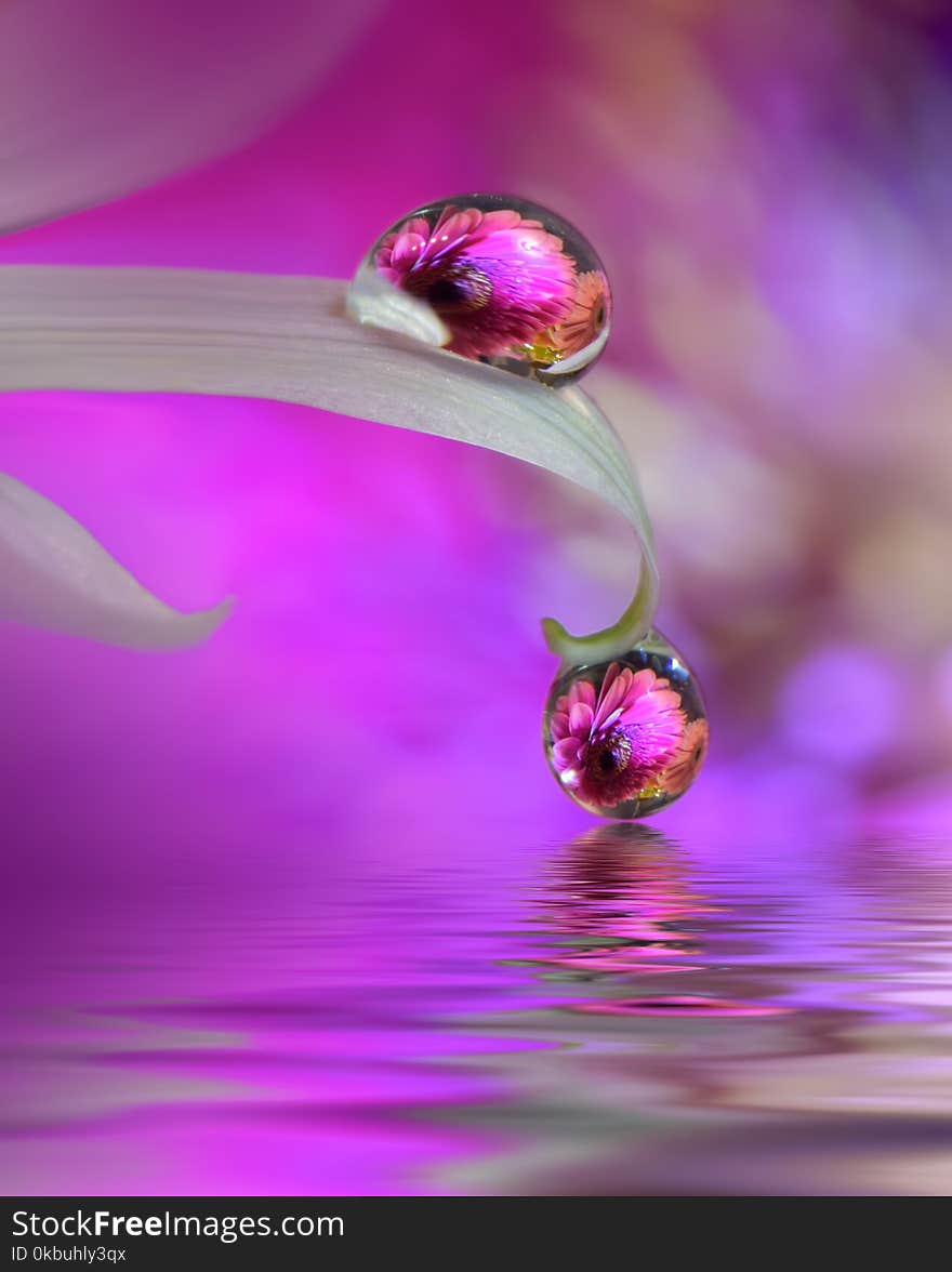 Abstract macro photo.Artistic Background.Fantasy design.Colorful Wallpaper.Spa,pond,water.Relax,aroma.