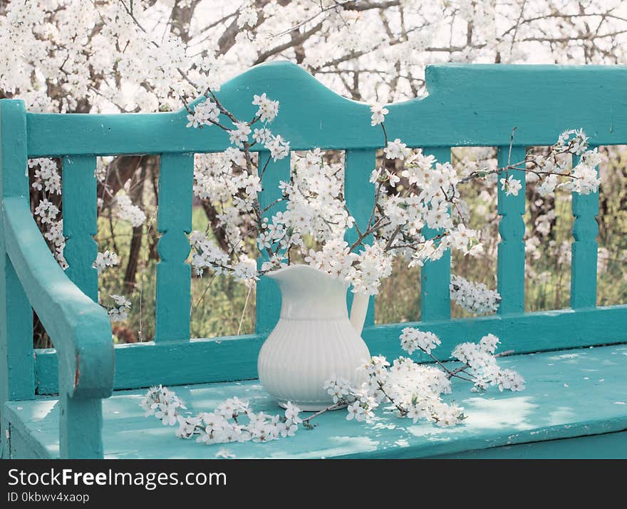 The white spring flowers on bench in garden