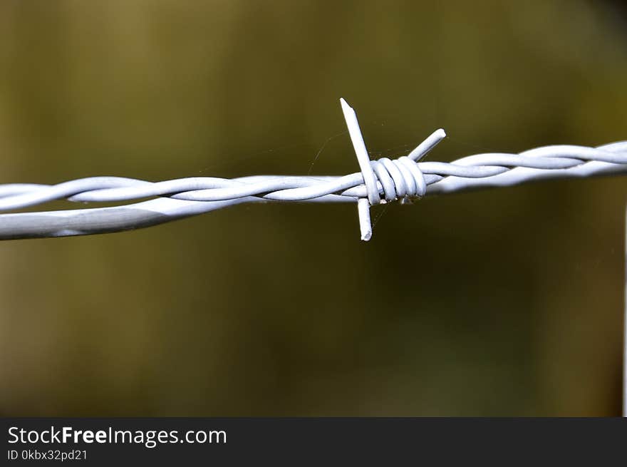 Wire Fencing, Barbed Wire, Close Up, Macro Photography