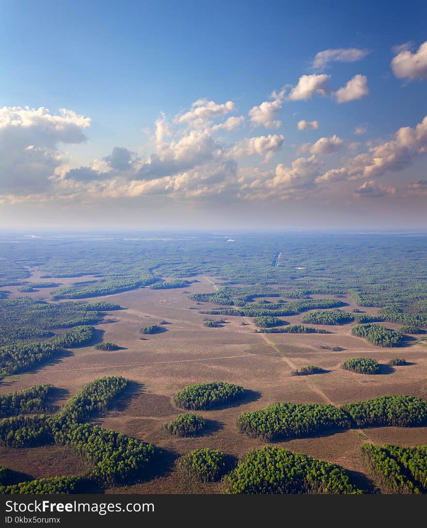 Forest plain in summer, top view