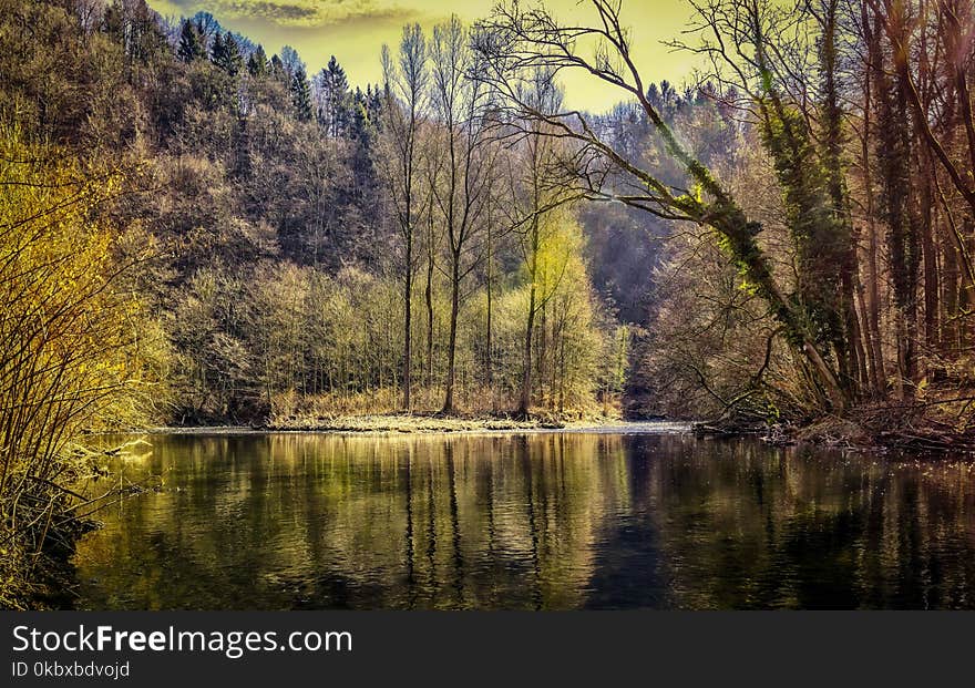 Reflection, Water, Nature, Body Of Water