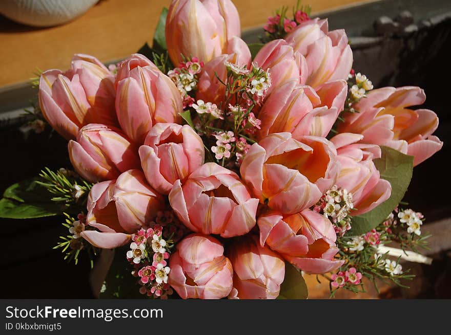 Flower, Pink, Floristry, Flowering Plant