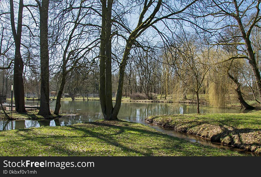 Water, Nature, Waterway, Tree