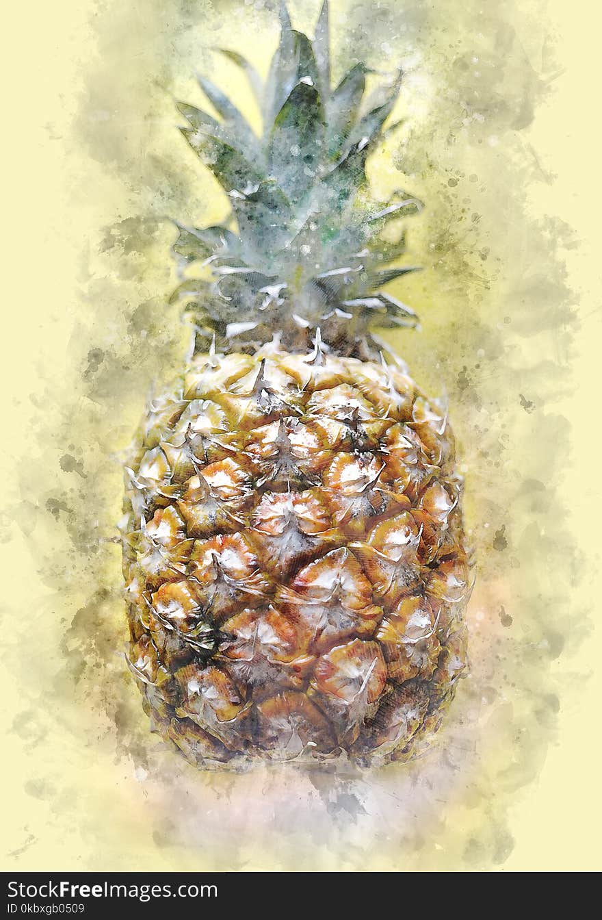 Ananas, Pineapple, Fruit, Plant