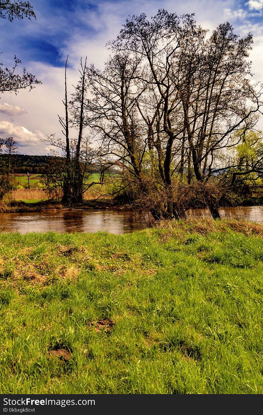 Nature, Water, Sky, Tree