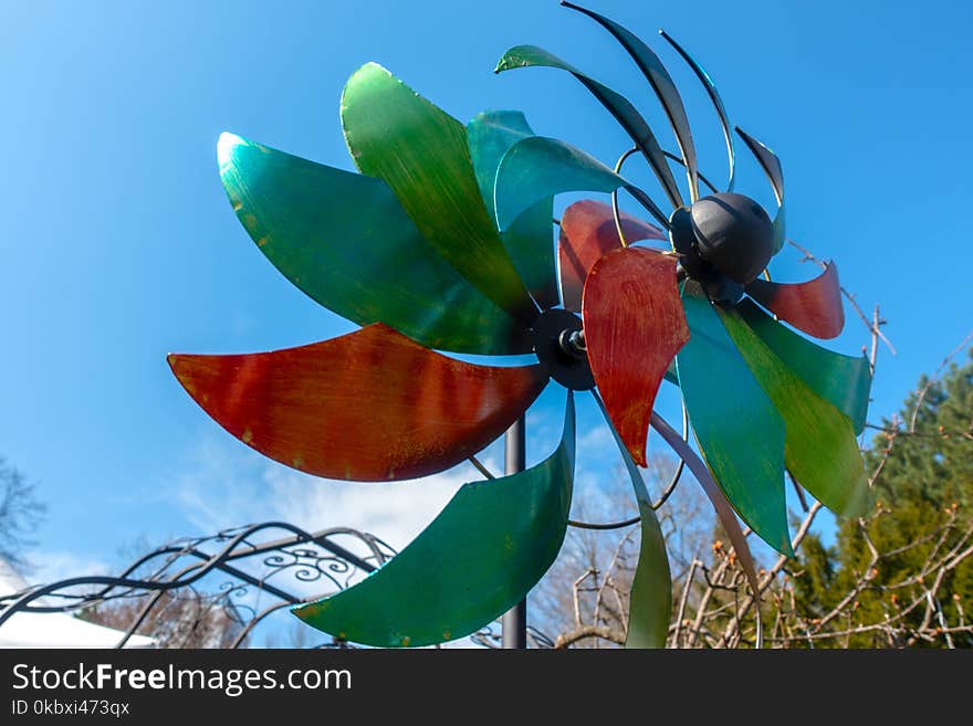 Flora, Leaf, Plant, Sky