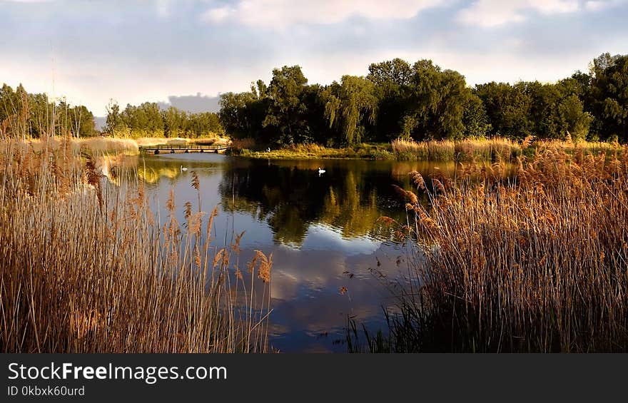 Reflection, Water, Nature, Nature Reserve