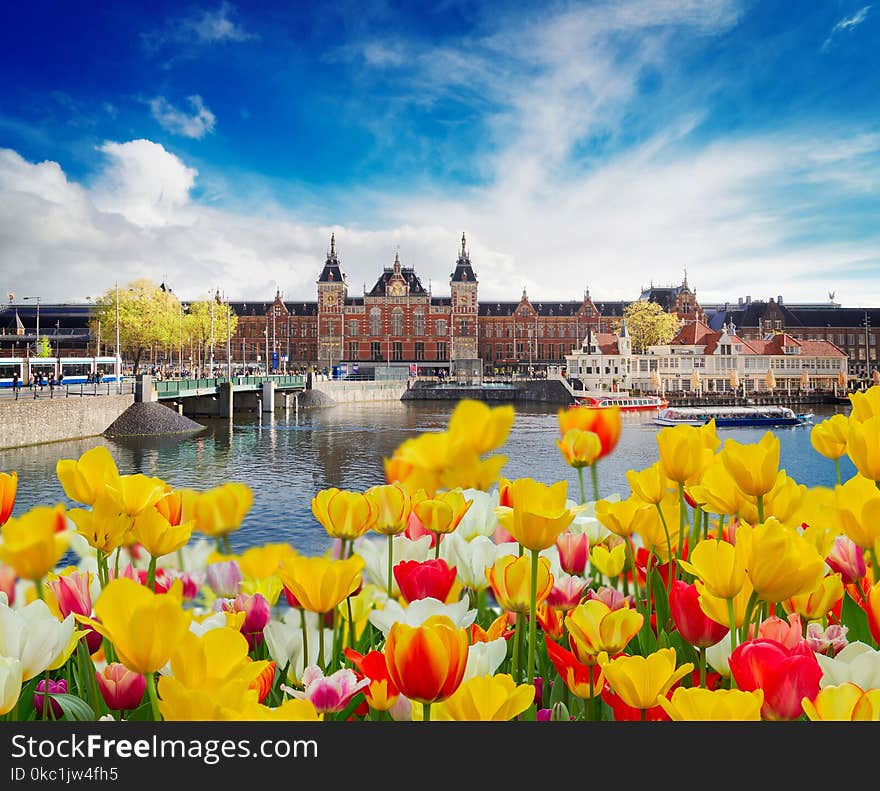 Cityscape with central railway station and old town canal with tulips, Amsterdam, Holland. Cityscape with central railway station and old town canal with tulips, Amsterdam, Holland