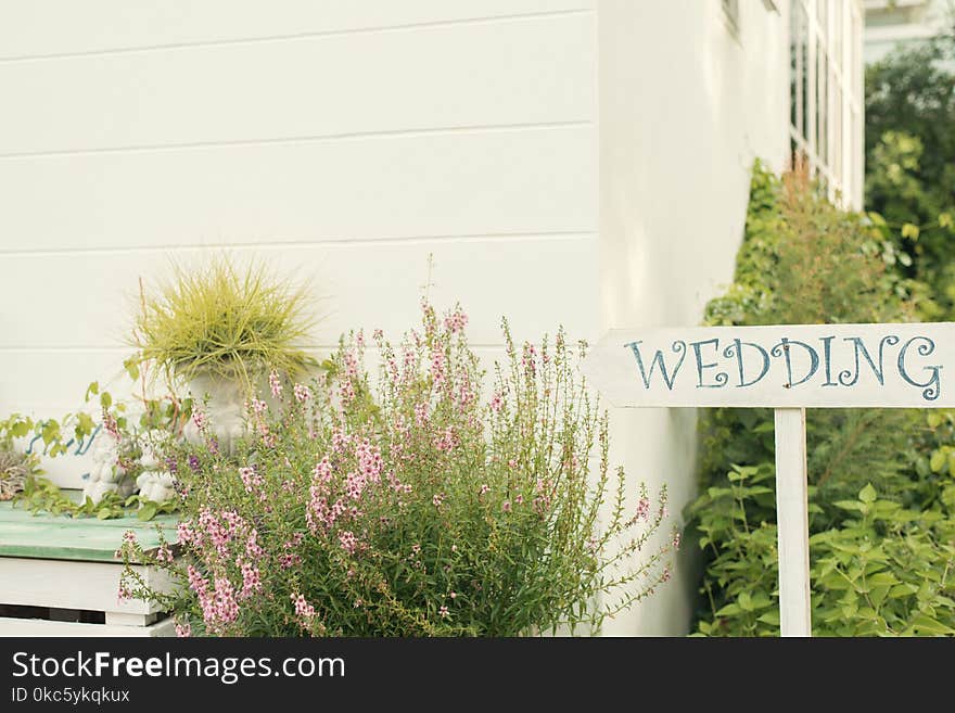 Wedding Sign Near House With Green Plants