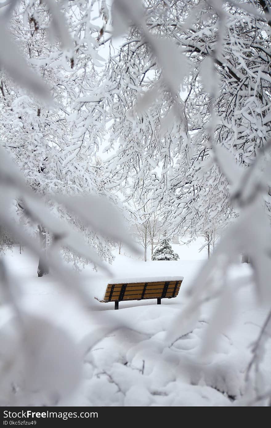 Brown Outdoor Bench With Snow on Top