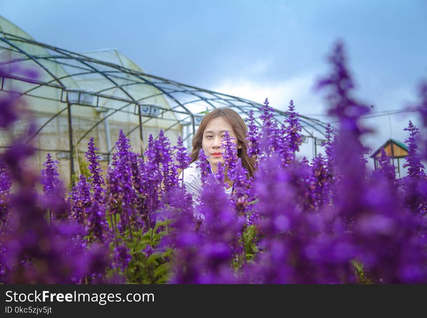 Woman Standing Behind Purple Petaled Flowers