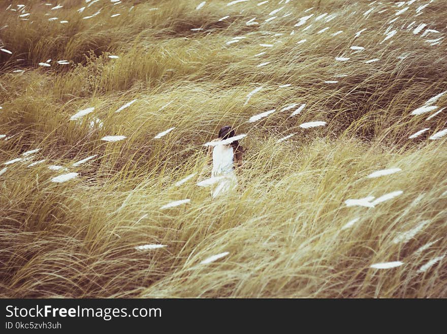 Woman Wearing White Dress Standing in the Middle of Grasses