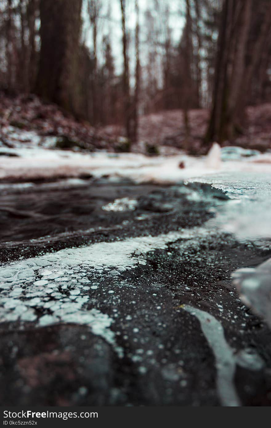 Shallow Focus Photo of Gray Ground