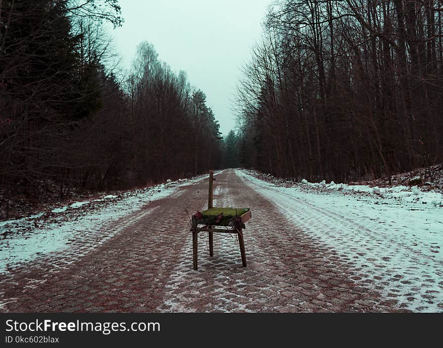 Photography of broken brown chair in the Middle of Road Surrounded by Trees