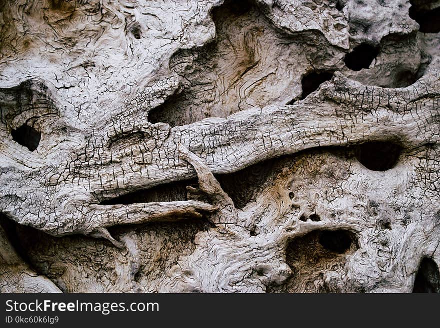 Weathered Wood