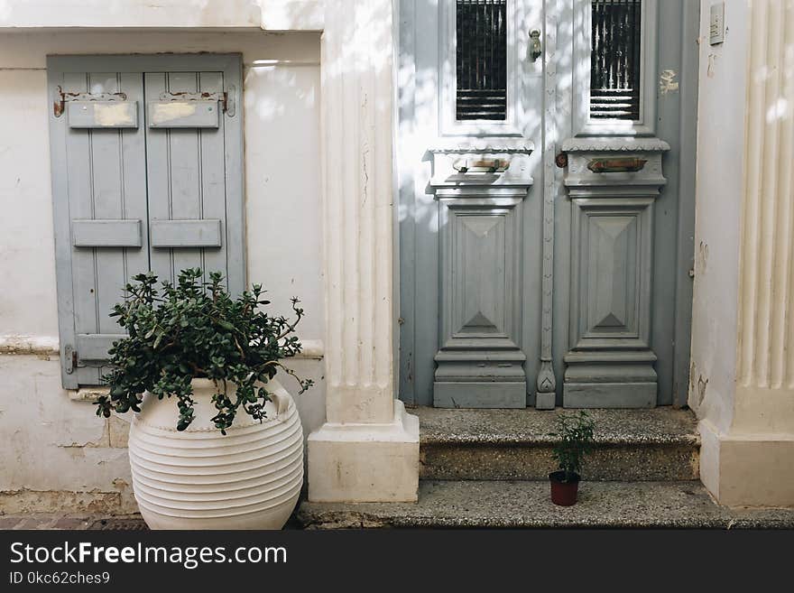 Wooden Door