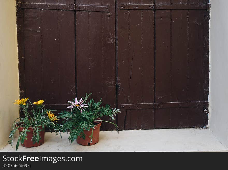 Brown Wooden Window