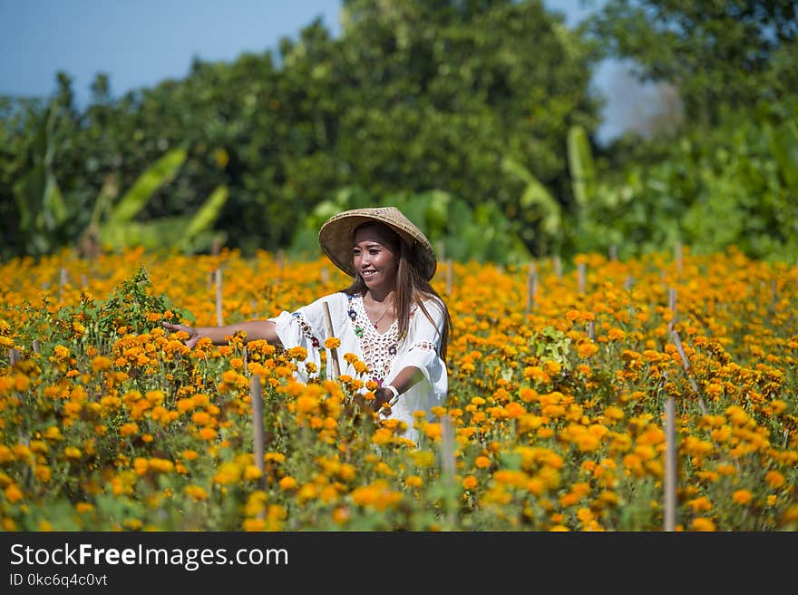 Happy and beautiful young Asian woman wearing traditional hat enjoying excited the fresh beauty of orange marigold flowers field n