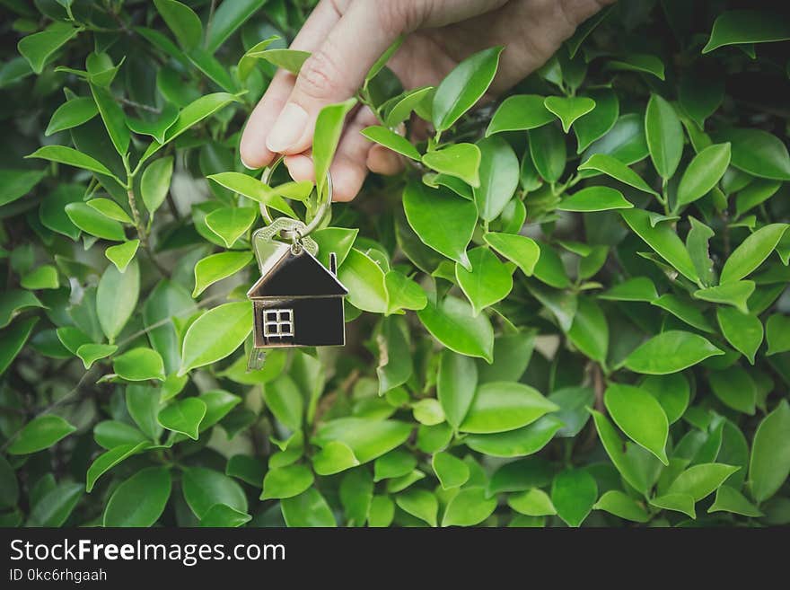 Woman holding home key, environment preservation concept. Woman holding home key, environment preservation concept