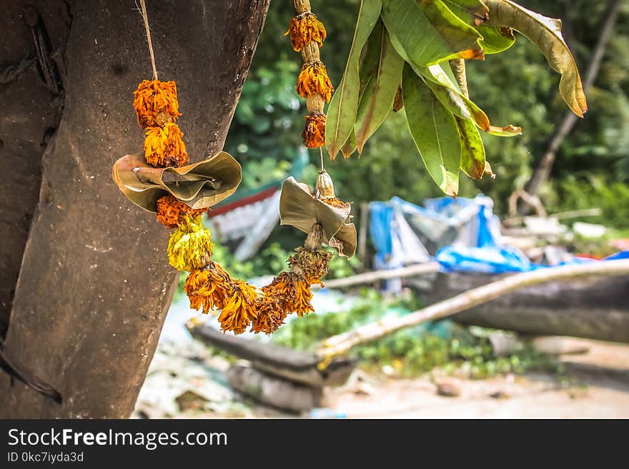 Colors of Goa in India