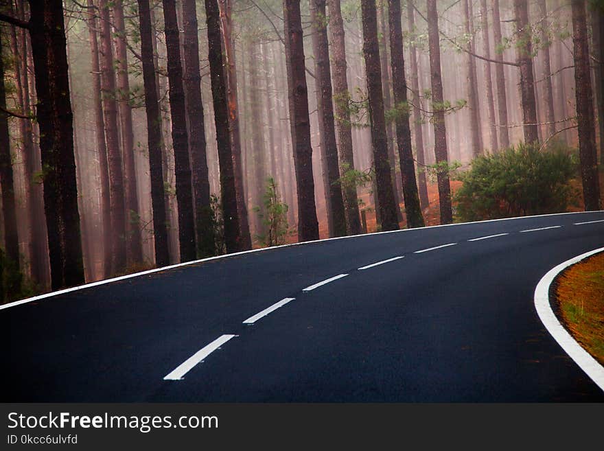 Beautiful mountain road in Tenerife. Road travel concept. Car travel adventure.