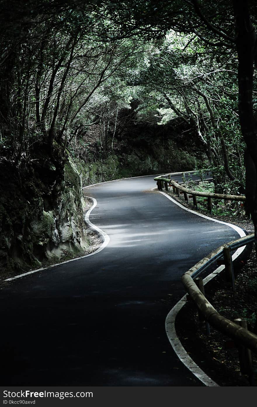 Beautiful mountain road in Tenerife. Road travel concept. Car travel adventure