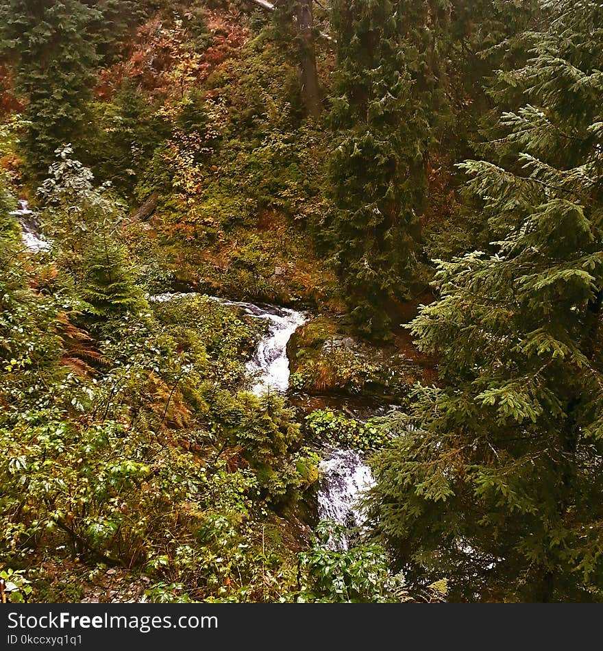 mountains waterfall in forest. mountains waterfall in forest