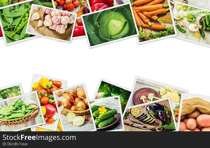 Collage of different vegetables. Vegetarian food.