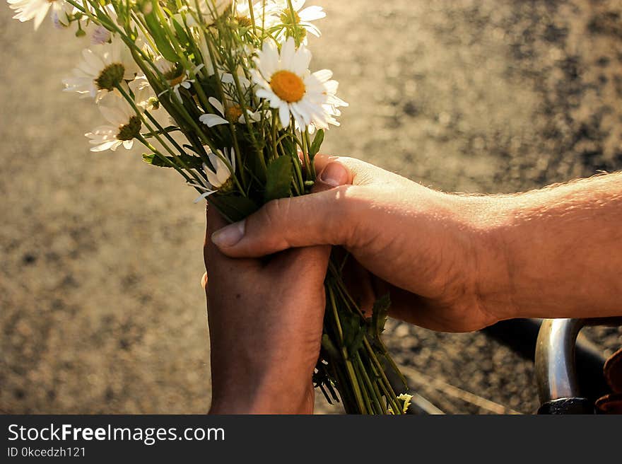 Couple holding bouquet of daisies on bicycle in sunset sunlight, summer vacation